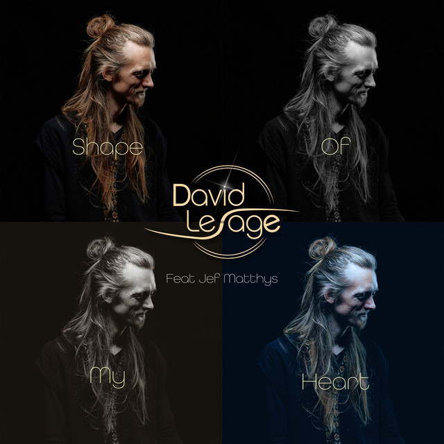 Reprises — David Lesage